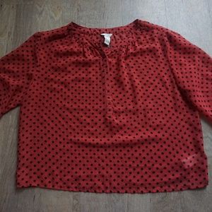 Sheer Short Sleeve Top